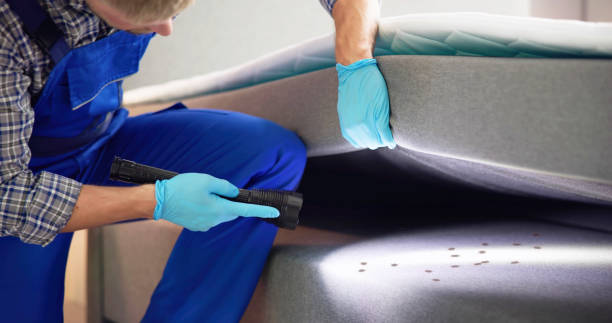 Best Mosquito Control Services  in Fullerton, CA
