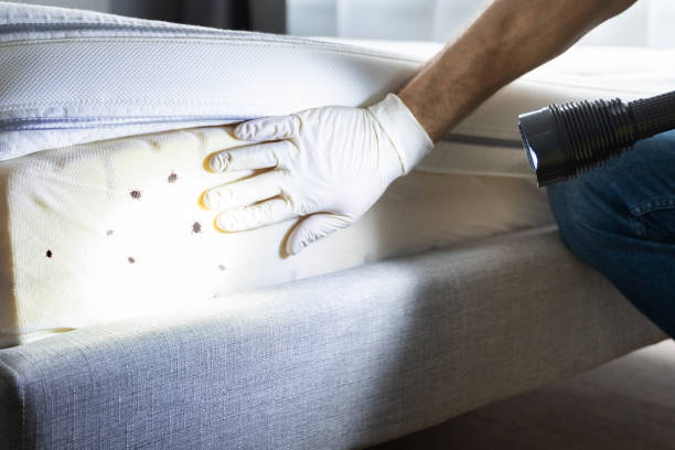 Best Wildlife Control Services  in Fullerton, CA