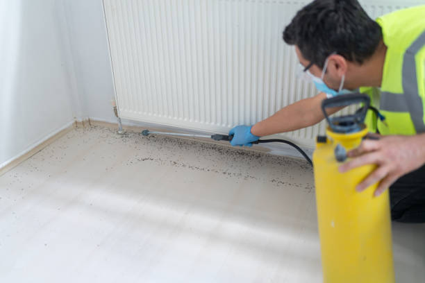Best Mosquito Control Services  in Fullerton, CA