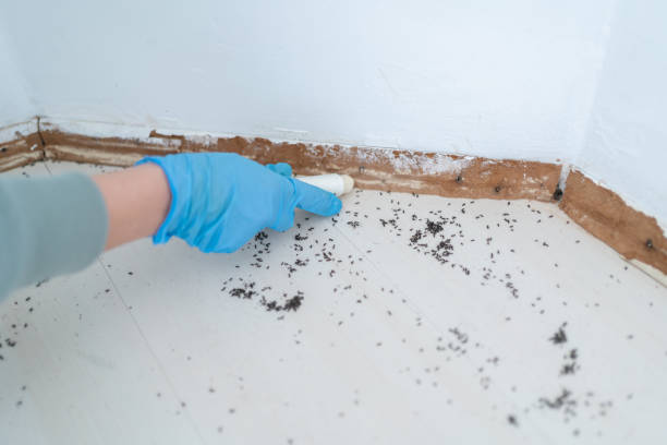 Best Pest Prevention Services  in Fullerton, CA