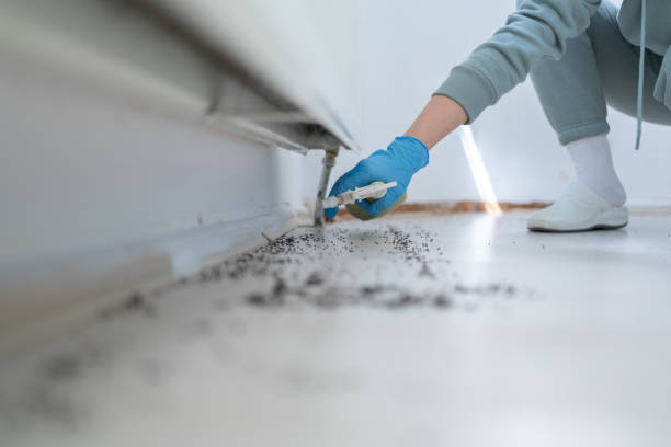 Best Affordable Pest Control Services  in Fullerton, CA
