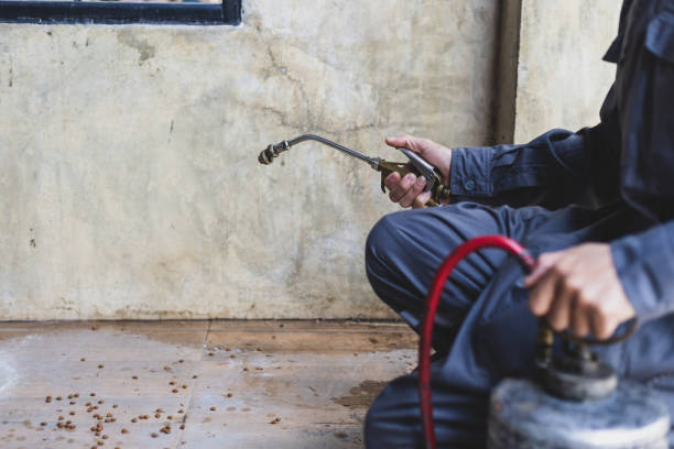 Best Best Pest Control Companies  in Fullerton, CA