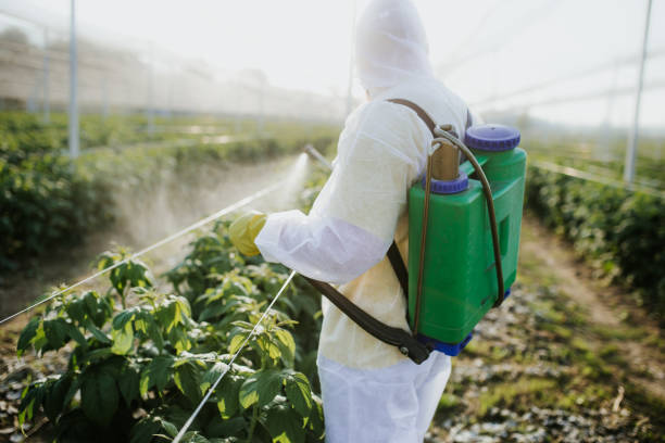 Best Residential Pest Control  in Fullerton, CA
